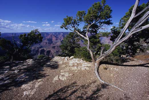 Photography art, top art galleries London, Paris, Rome, New York City, Hong Kong, Athens, Geneva, Los Angeles and Miami.